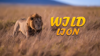 Lion Simulator Animal Games 3d Screenshot6