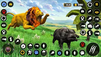 Lion King Animal Sim Lion Game Screenshot4