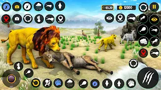 Lion King Animal Sim Lion Game Screenshot5