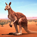 The Kangaroo APK