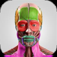 Anatomy Cards Anatomicus APK