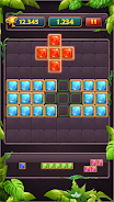 Block Puzzle Jewel Classic Screenshot2