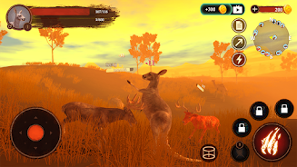 The Kangaroo Screenshot7