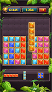 Block Puzzle Jewel Classic Screenshot5