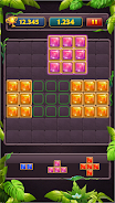 Block Puzzle Jewel Classic Screenshot4