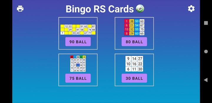 Bingo RS Cards Screenshot1