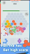 Hex Puzzle - Super fun Screenshot2