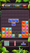 Block Puzzle Jewel Classic Screenshot3