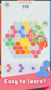 Hex Puzzle - Super fun Screenshot3