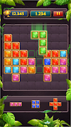 Block Puzzle Jewel Classic Screenshot1