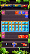 Block Puzzle Jewel Classic Screenshot6