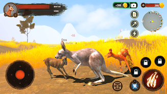 The Kangaroo Screenshot4