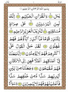 Surah Yaseen Screenshot4