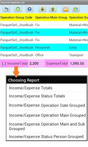 Agenda Income Expense Screenshot2