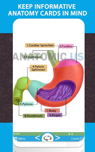 Anatomy Cards Anatomicus Screenshot2