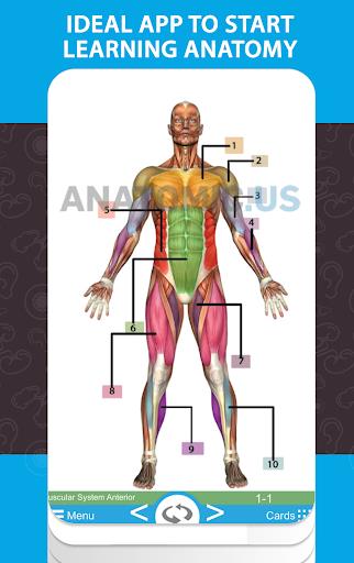 Anatomy Cards Anatomicus Screenshot1