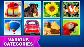 Puzzles: Jigsaw Puzzle Games Screenshot3