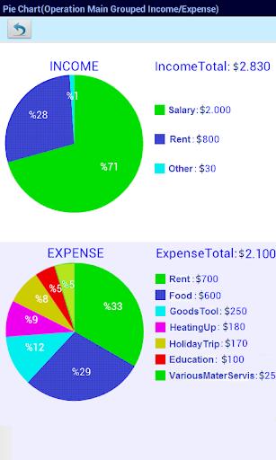 Agenda Income Expense Screenshot3