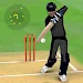 Smashing Cricket: cricket game APK