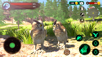 The Owl Screenshot1