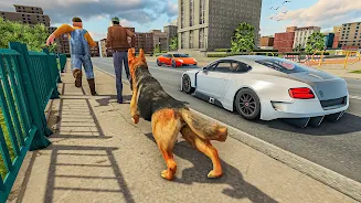 Dog Simulator Pet Dog Games Screenshot2