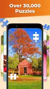 Jigsaw Puzzles HD Puzzle Games Screenshot4