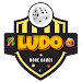 Ludo + 10 more exciting games APK