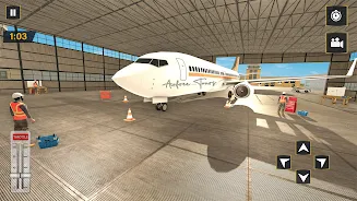 Real Plane Flying Simulator Screenshot6