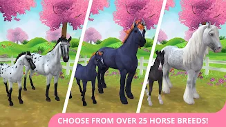 Star Stable Horses Screenshot3