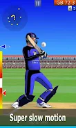 Smashing Cricket: cricket game Screenshot1