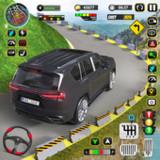 Limo Car Driving School Sim APK