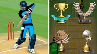 Smashing Cricket: cricket game Screenshot8