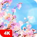 Spring Wallpapers 4K APK