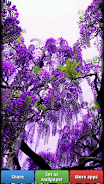 Lovely Purple HD Wallpapers Screenshot6