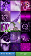 Lovely Purple HD Wallpapers Screenshot1