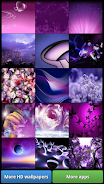 Lovely Purple HD Wallpapers Screenshot3