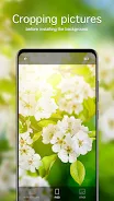 Spring Wallpapers 4K Screenshot4