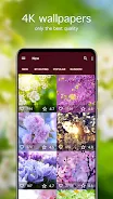 Spring Wallpapers 4K Screenshot2