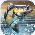 Master Fishing APK