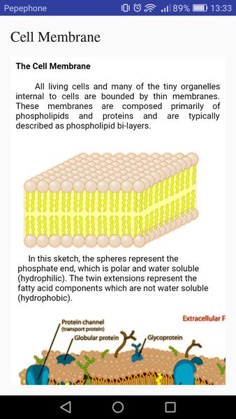 Cell Biology Screenshot5