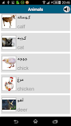Learn Persian (Farsi) Screenshot6