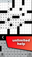 Crossword Puzzle Screenshot2