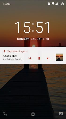 Vinyl Music Player Screenshot2