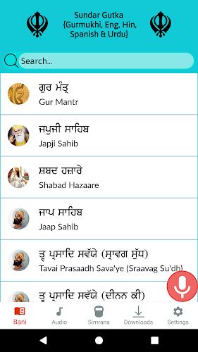 Nitnem (ਨਿਤਨੇਮ) - Sundar Gutka Screenshot3