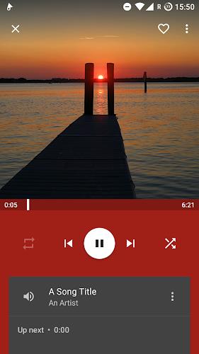 Vinyl Music Player Screenshot1