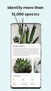 PlantCam: AI Plant Identifier Screenshot3