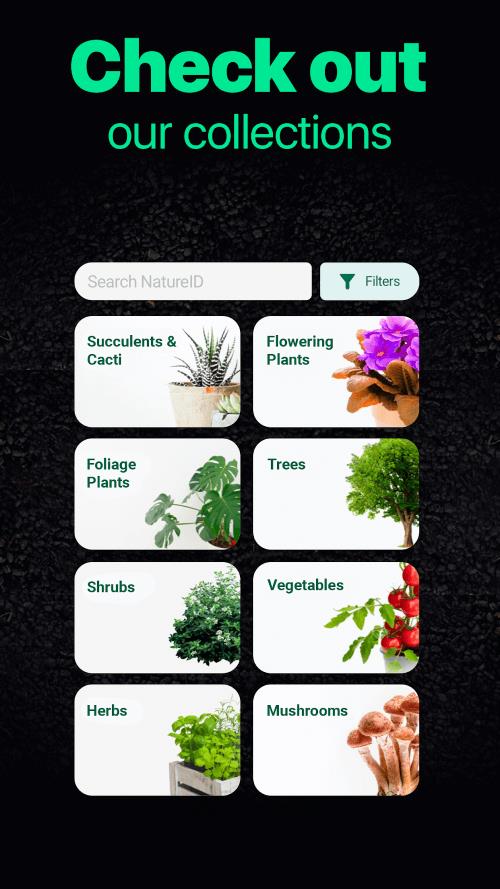 NatureID Screenshot6