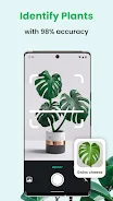 PlantCam: AI Plant Identifier Screenshot1