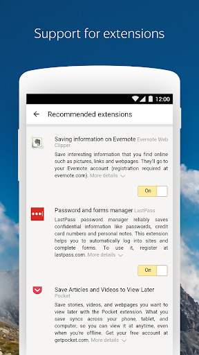 Yandex Browser Screenshot2