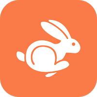 Rabbit VPN APK